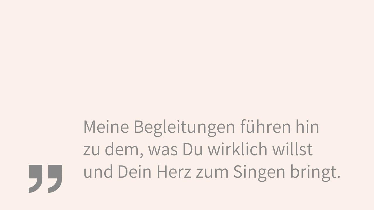 Meine Coaching-Begleitungen